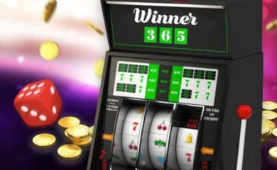Winner365 spilleautomat terning