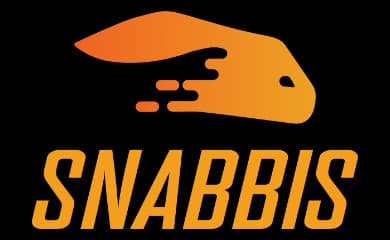 Snabbis nettcasino