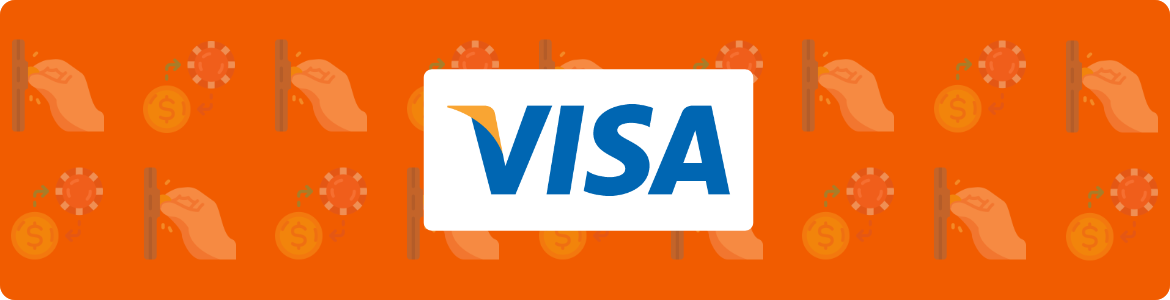 Visa banner